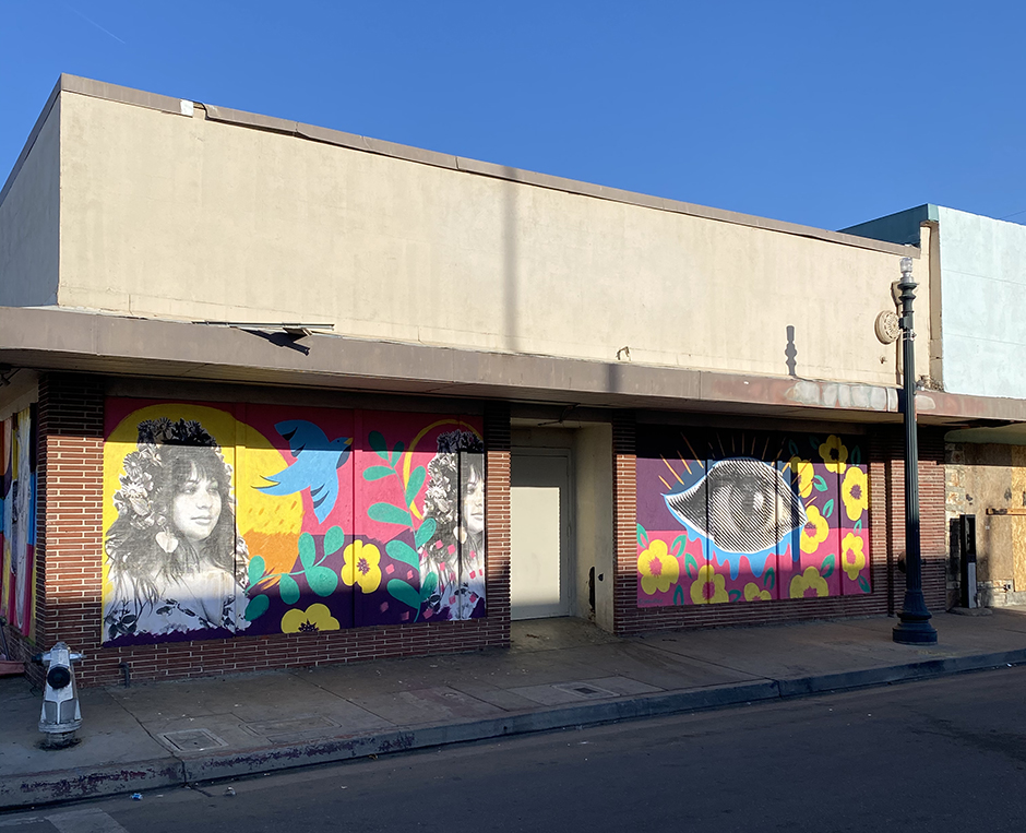 Murals for The Hub of Bakersfield Paint the Void Project Willis